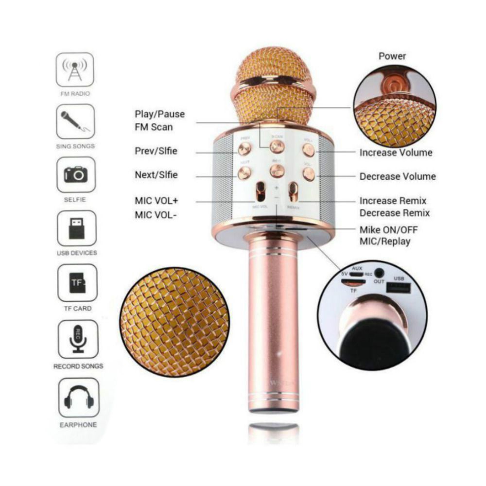 WS-858 Wireless Bluetooth Microphone Karaoke Speaker