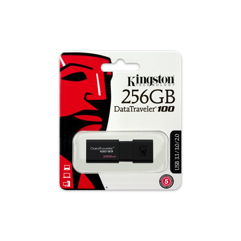 KINGSTONE 256Gb USB